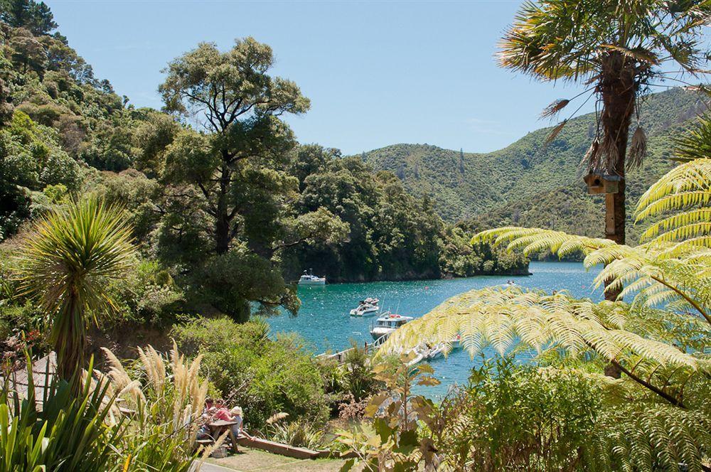 Lochmara Lodge - 20Mins By Boat From Picton Lochmara Bay Exterior photo